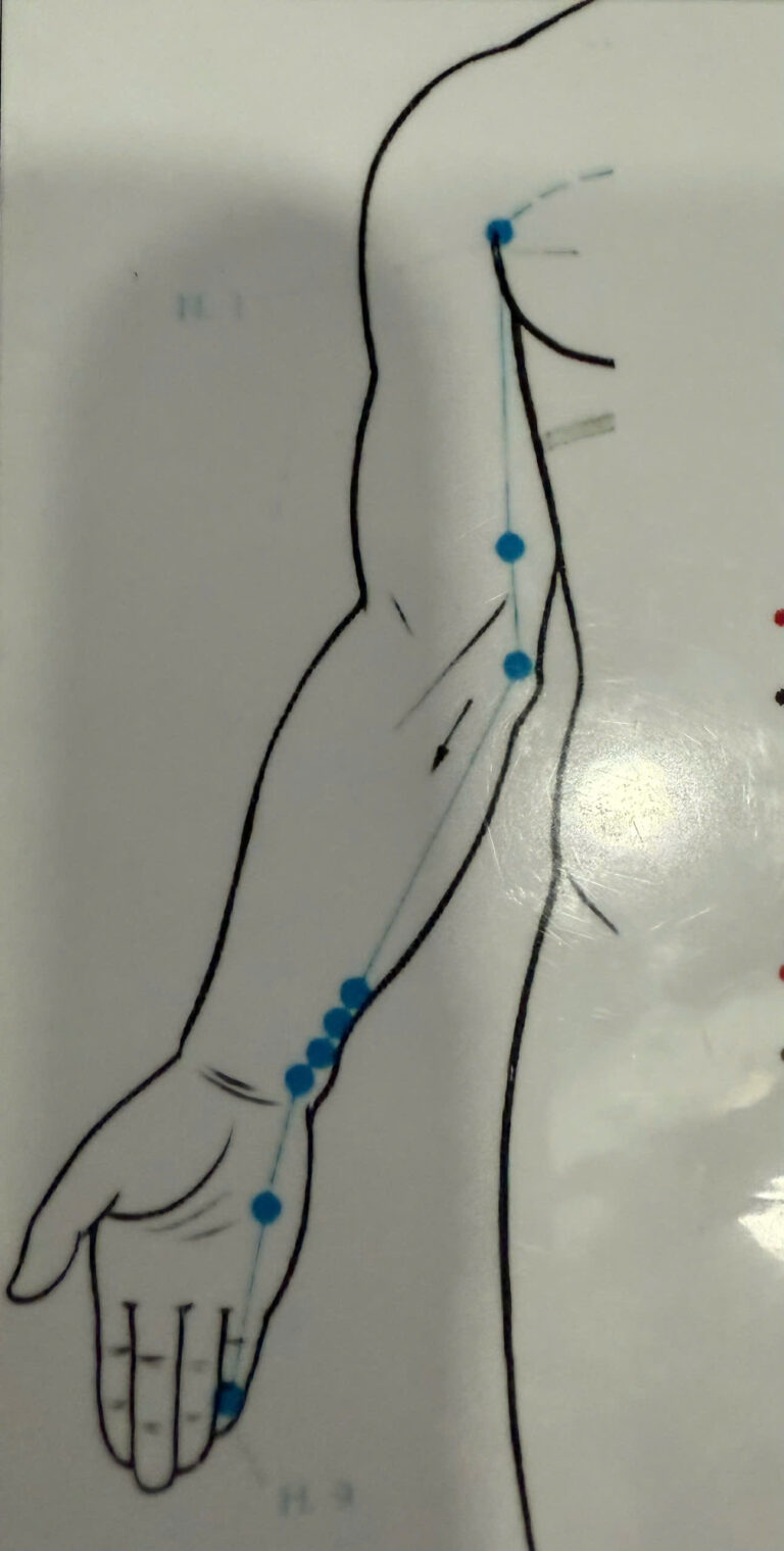 Thủ thiếu âm tâm kinh