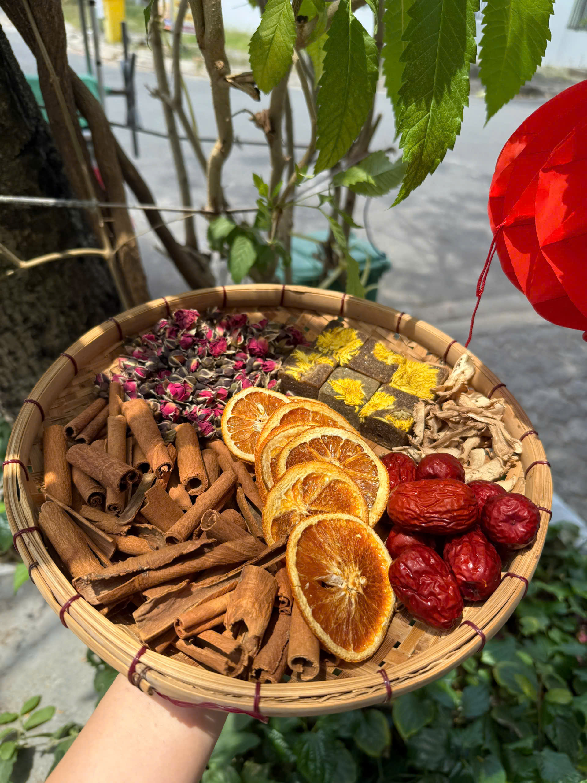 Trà ôn cung - Hình ảnh 2