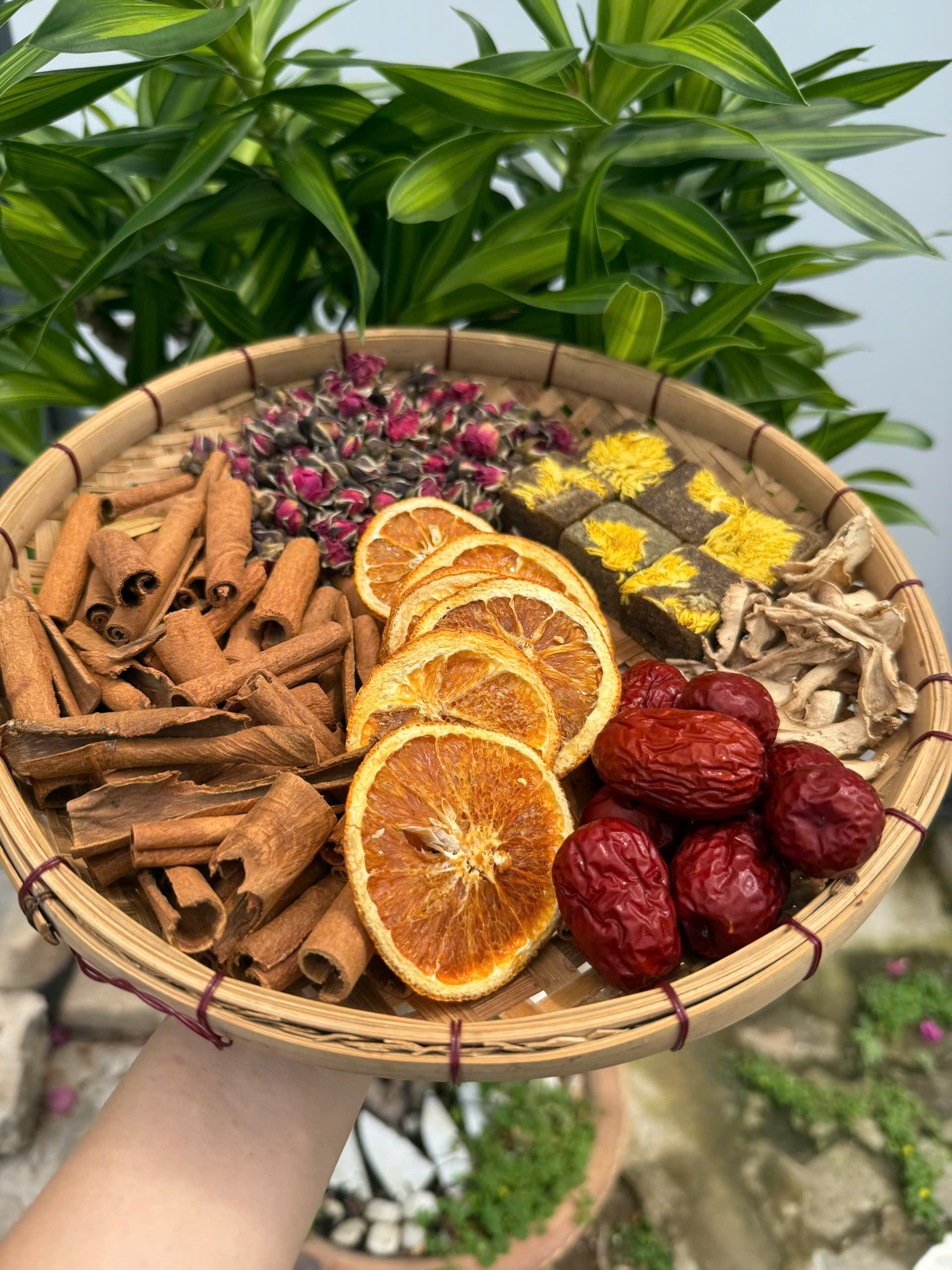Trà ôn cung - Hình ảnh 3